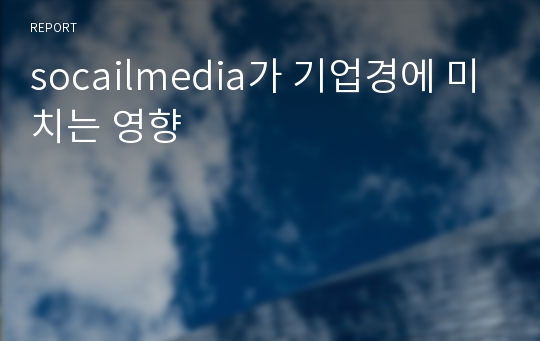 socailmedia가 기업경에 미치는 영향