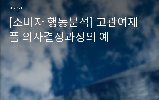 [소비자 행동분석] 고관여제품 의사결정과정의 예