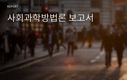 사회과학방법론 보고서