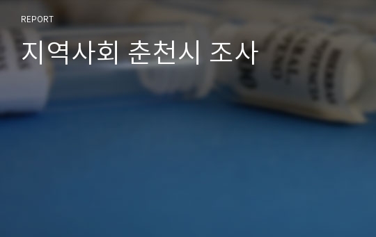 지역사회 춘천시 조사