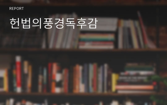 헌법의풍경독후감