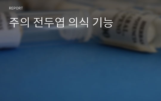 주의 전두엽 의식 기능