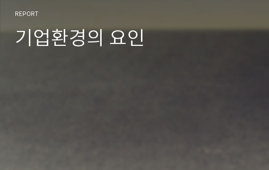 기업환경의 요인