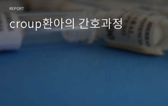 croup환아의 간호과정