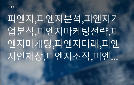 피엔지,피엔지분석,피엔지기업분석,피엔지마케팅전략,피엔지마케팅,피엔지미래,피엔지인재상,피엔지조직,피엔지글로벌비지니스서비스,글로벌서비스