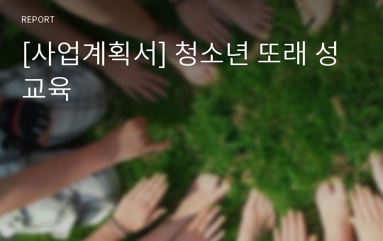 [사업계획서] 청소년 또래 성교육