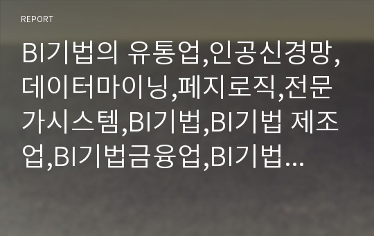 BI기법의 유통업,인공신경망,데이터마이닝,페지로직,전문가시스템,BI기법,BI기법 제조업,BI기법금융업,BI기법 전자상거래,데이터마이닝사례