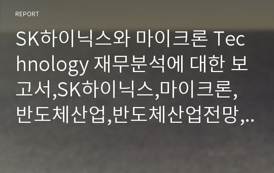 SK하이닉스와 마이크론 Technology 재무분석에 대한 보고서,SK하이닉스,마이크론,반도체산업,반도체산업전망,반도체산업특징