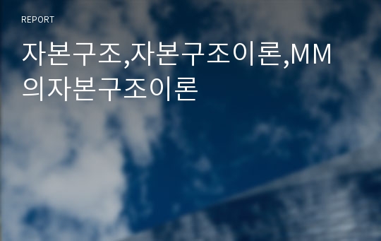 자본구조,자본구조이론,MM의자본구조이론