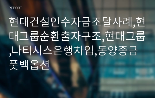 현대건설인수자금조달사례,현대그룹순환출자구조,현대그룹,나티시스은행차입,동양종금풋백옵션