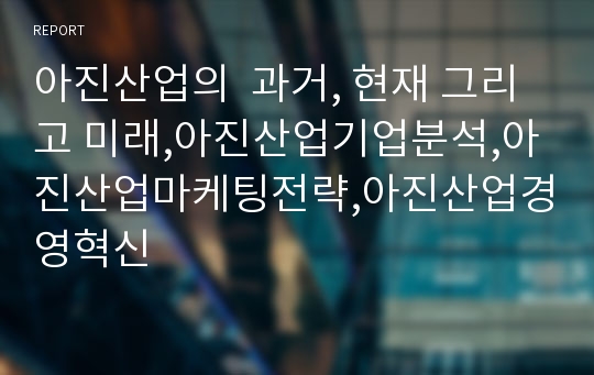 아진산업의  과거, 현재 그리고 미래,아진산업기업분석,아진산업마케팅전략,아진산업경영혁신