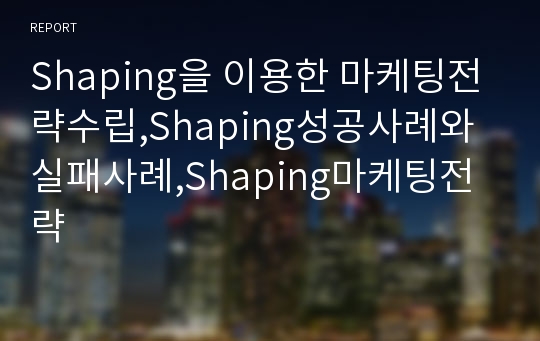 Shaping을 이용한 마케팅전략수립,Shaping성공사례와실패사례,Shaping마케팅전략