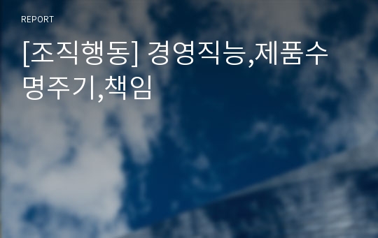 [조직행동] 경영직능,제품수명주기,책임