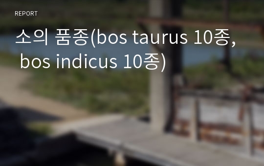 소의 품종(bos taurus 10종, bos indicus 10종)
