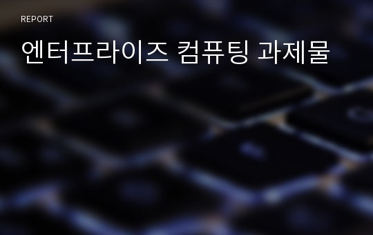 엔터프라이즈 컴퓨팅 과제물