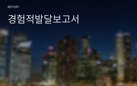 경험적발달보고서