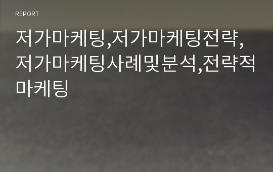 저가마케팅,저가마케팅전략,저가마케팅사례및분석,전략적마케팅