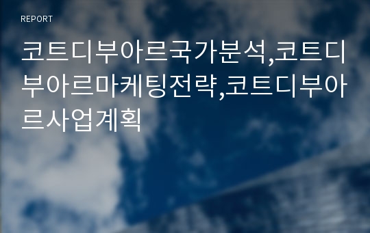 코트디부아르국가분석,코트디부아르마케팅전략,코트디부아르사업계획