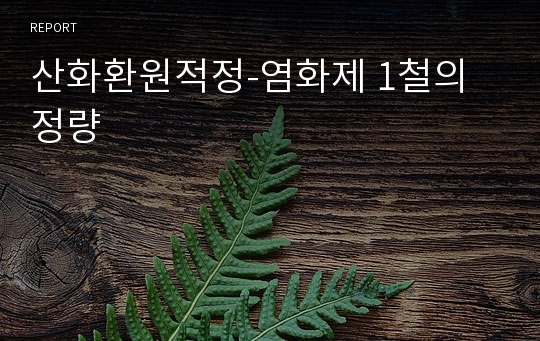 산화환원적정-염화제 1철의 정량