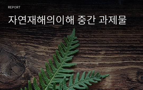 자연재해의이해 중간 과제물