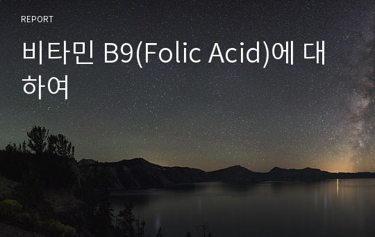 비타민 B9(Folic Acid)에 대하여