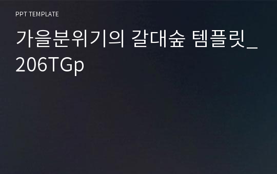 가을분위기의 갈대숲 템플릿_206TGp