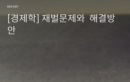 [경제학] 재벌문제와  해결방안