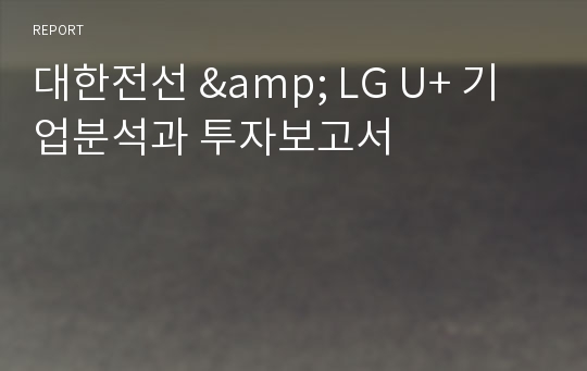 대한전선 &amp; LG U+ 기업분석과 투자보고서