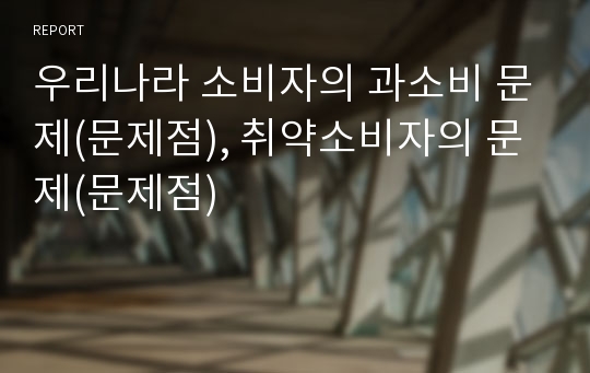 우리나라 소비자의 과소비 문제(문제점), 취약소비자의 문제(문제점)