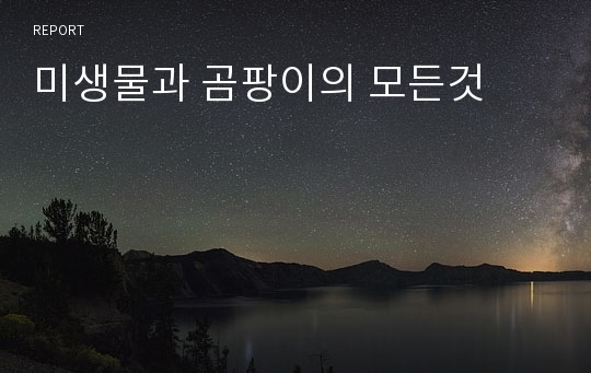 미생물과 곰팡이의 모든것