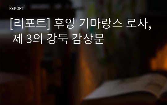 [리포트] 후앙 기마랑스 로사, 제 3의 강둑 감상문