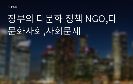 정부의 다문화 정책 NGO,다문화사회,사회문제