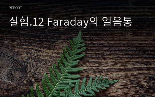 실험.12 Faraday의 얼음통