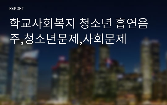 학교사회복지 청소년 흡연음주,청소년문제,사회문제