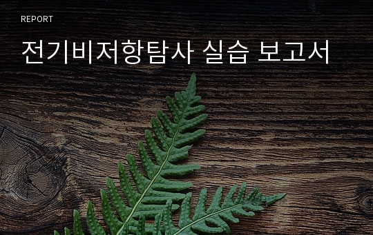 전기비저항탐사 실습 보고서