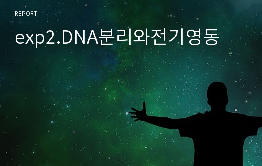 exp2.DNA분리와전기영동