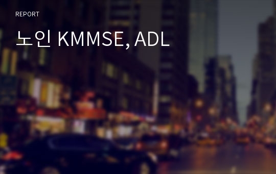 노인 KMMSE, ADL