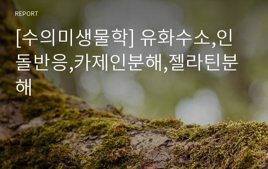 [수의미생물학] 유화수소,인돌반응,카제인분해,젤라틴분해