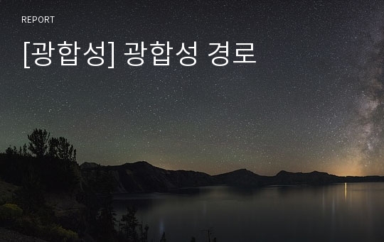 [광합성] 광합성 경로