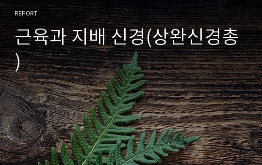 근육과 지배 신경(상완신경총)