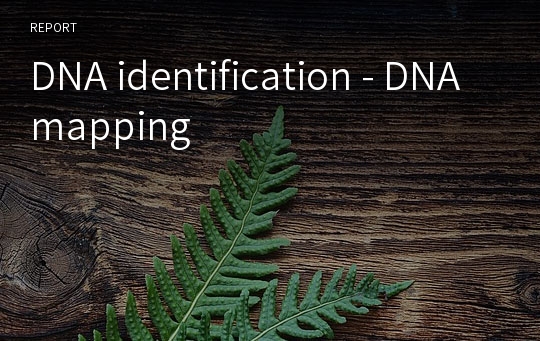 DNA identification - DNA mapping