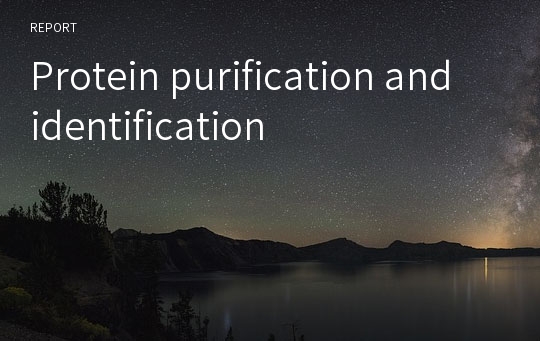 Protein purification and identification