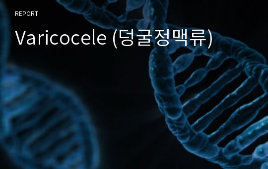 Varicocele (덩굴정맥류)