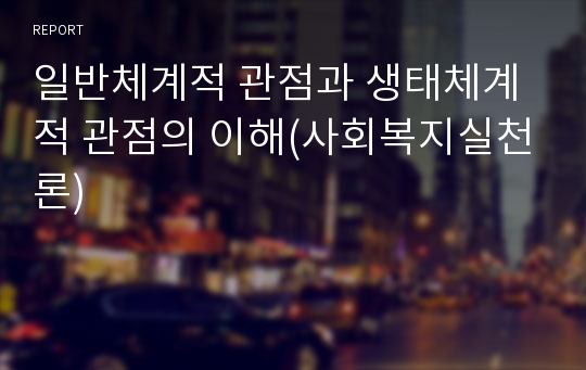 일반체계적 관점과 생태체계적 관점의 이해(사회복지실천론)