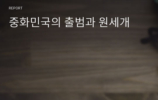 중화민국의 출범과 원세개