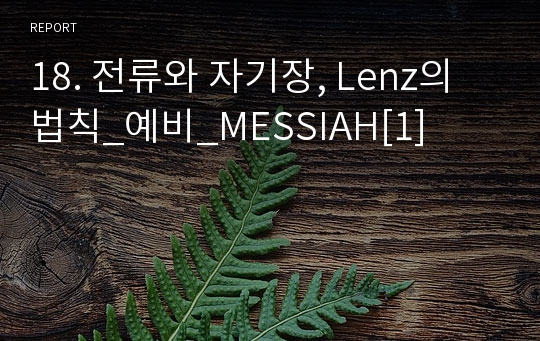 18. 전류와 자기장, Lenz의 법칙_예비_MESSIAH[1]