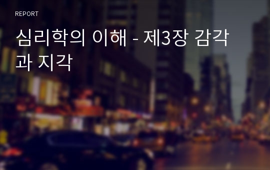 심리학의 이해 - 제3장 감각과 지각