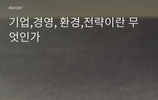 기업,경영, 환경,전략이란 무엇인가