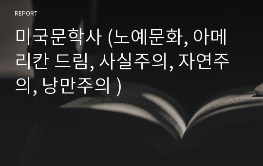 미국문학사 (노예문화, 아메리칸 드림, 사실주의, 자연주의, 낭만주의 )