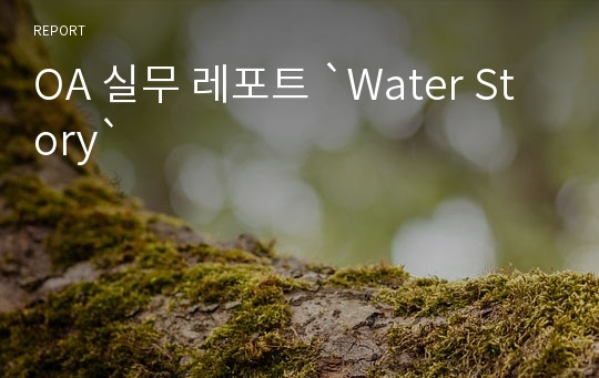 OA 실무 레포트 `Water Story`